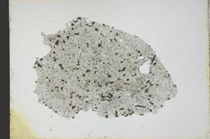 Plane Polarized, S13031