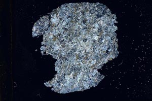 Cross Polarized, S13032