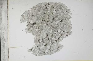 Plane Polarized, S13032