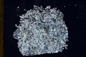 Cross Polarized, S13033