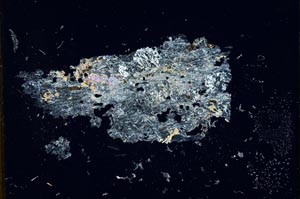 Cross Polarized, S13034