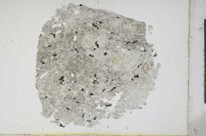 Plane Polarized, S13035