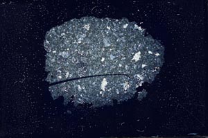 Cross Polarized, S13036