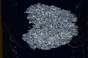 Cross Polarized, S13037