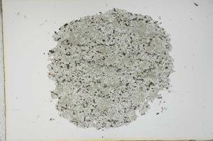 Plane Polarized, S13038