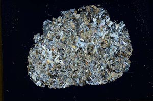 Cross Polarized, S13039