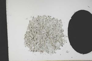 Plane Polarized, S13040