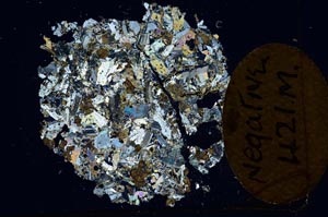 Cross Polarized, S13041