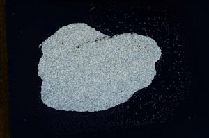 Cross Polarized, S13043