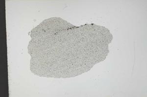 Plane Polarized, S13043