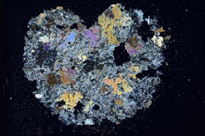 Cross Polarized, S13044