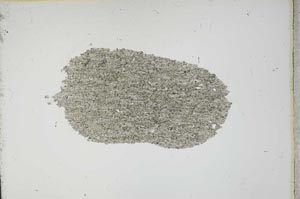 Plane Polarized, S13045