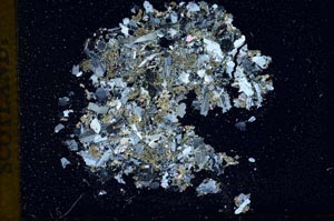 Cross Polarized, S13046