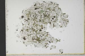 Plane Polarized, S13046