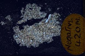 Cross Polarized, S13047