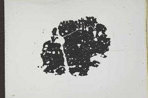 Plane Polarized, S13048