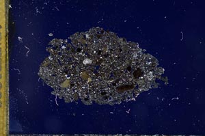 Cross Polarized, S13057