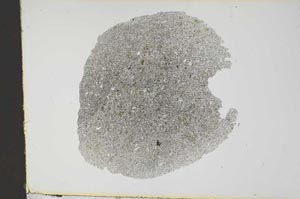 Plane Polarized, S13063