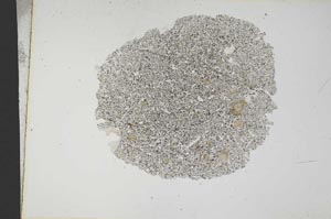 Plane Polarized, S13064