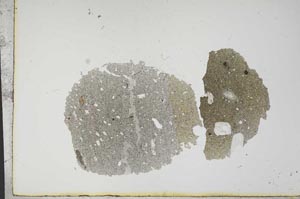 Plane Polarized, S13071