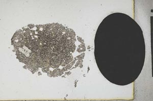 Plane Polarized, S13078