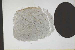Plane Polarized, S13083
