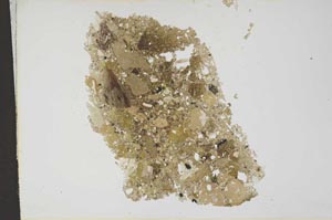 Plane Polarized, S13088