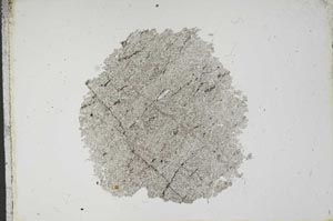 Plane Polarized, S13095