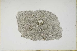 Plane Polarized, S13103