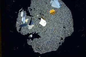 Cross Polarized, S13108