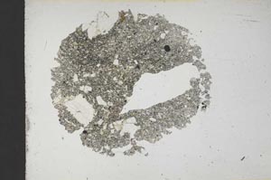 Plane Polarized, S13109