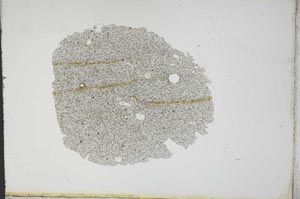 Plane Polarized, S13118