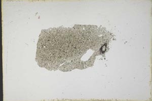 Plane Polarized, S13122