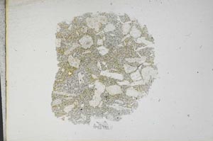 Plane Polarized, S13124