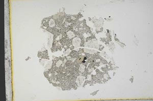 Plane Polarized, S13125