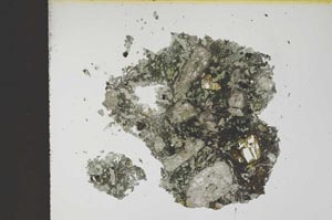 Plane Polarized, S13144