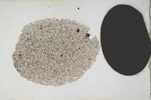 Plane Polarized, S13146