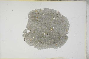 Plane Polarized, S13147