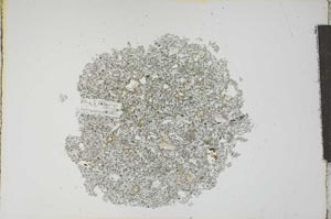 Plane Polarized, S13149