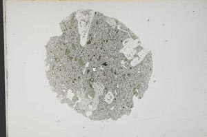 Plane Polarized, S13151