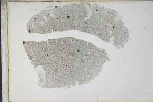 Plane Polarized, S13155