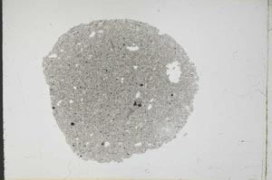 Plane Polarized, S13157