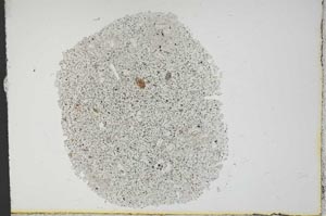 Plane Polarized, S13158