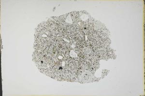 Plane Polarized, S13159