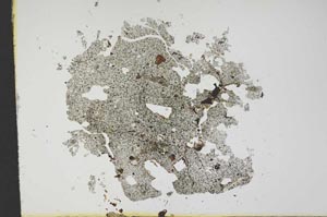 Plane Polarized, S13162