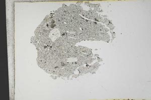 Plane Polarized, S13163