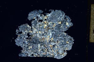 Cross Polarized, S13164