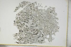 Plane Polarized, S13165