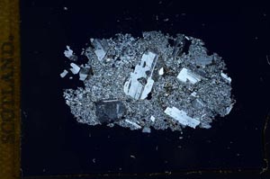 Cross Polarized, S13166