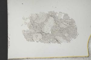 Plane Polarized, S13166